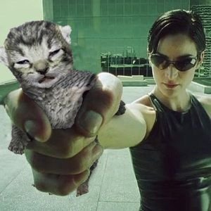 Meet your Posher, Fernando